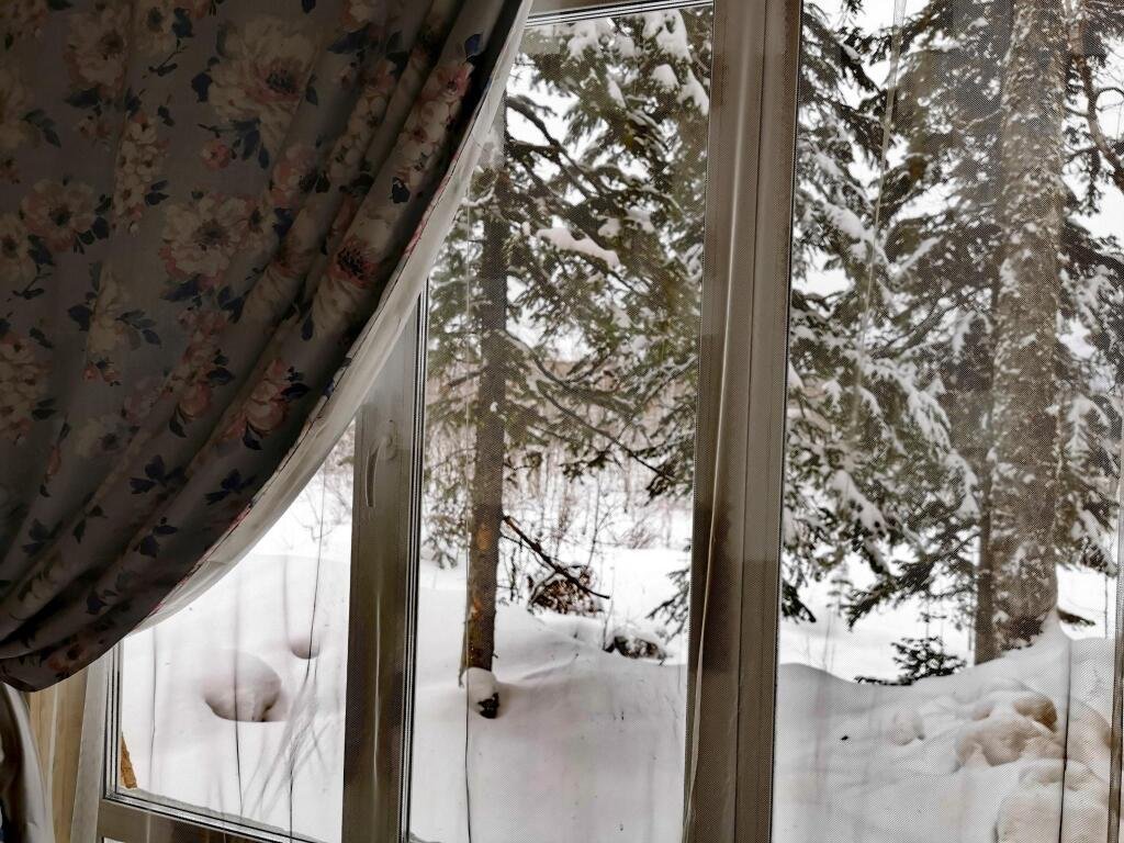 Сила Сибири, Кемеровская область: фото 3