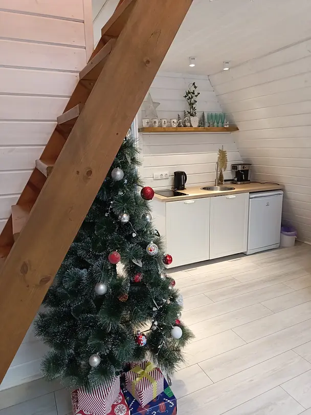 Hide Forest, Московская область: фото 5