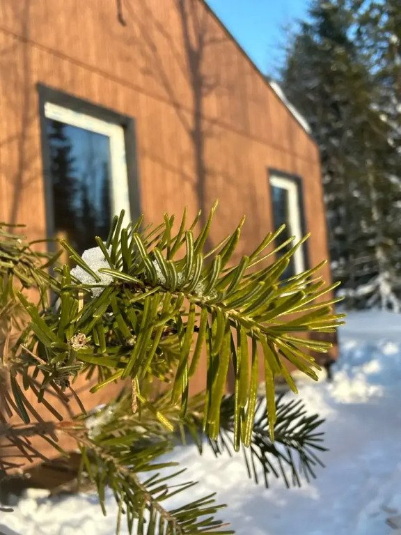 Частный дом Уютный с видом на лес (Ёлки Зелёные), Кемеровская область: фото 2