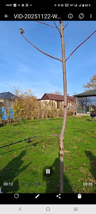 Фото 2 из отзыва о гостевом доме Гораль