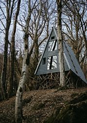 Коттедж Polyana A House (Поляна А Хаус)