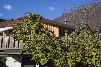 Частный Дом Zen Lodge Красная Поляна
