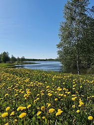 Кемпинг Ферма моей мамы