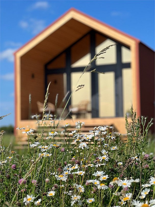 База отдыха Happy Farm, Медынский район, Калужская область