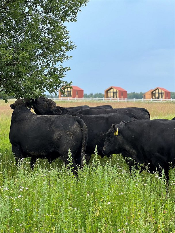 Happy Farm, Калужская область: фото 2