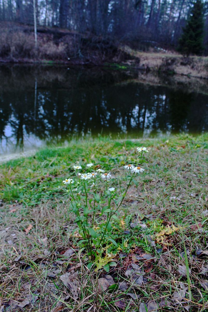 Фото 1 из отзыва о базе отдыха На Маклоке