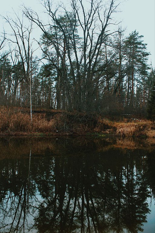 Фото из отзыва от 29.11.2025