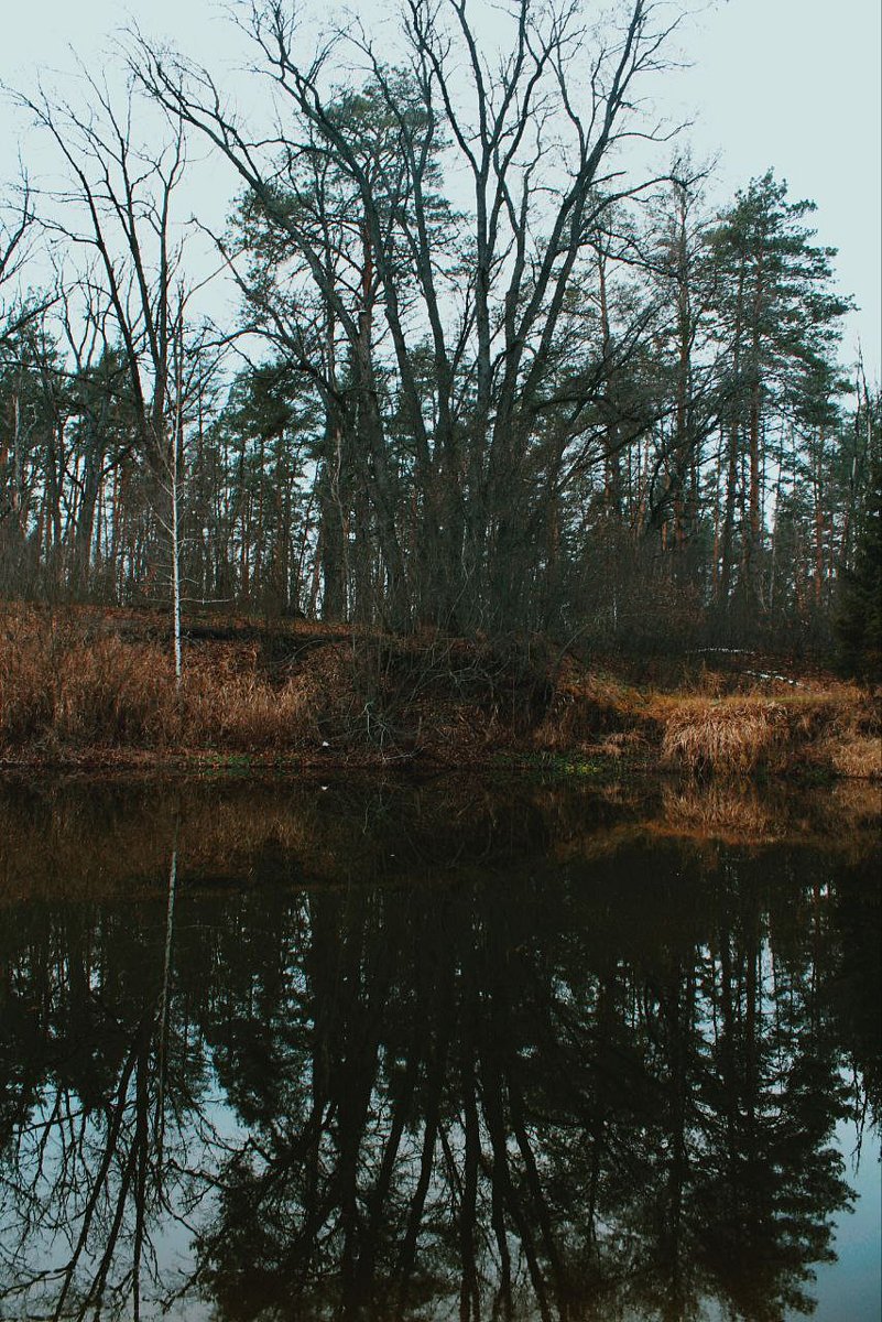 Фото 4 из отзыва о базе отдыха На Маклоке