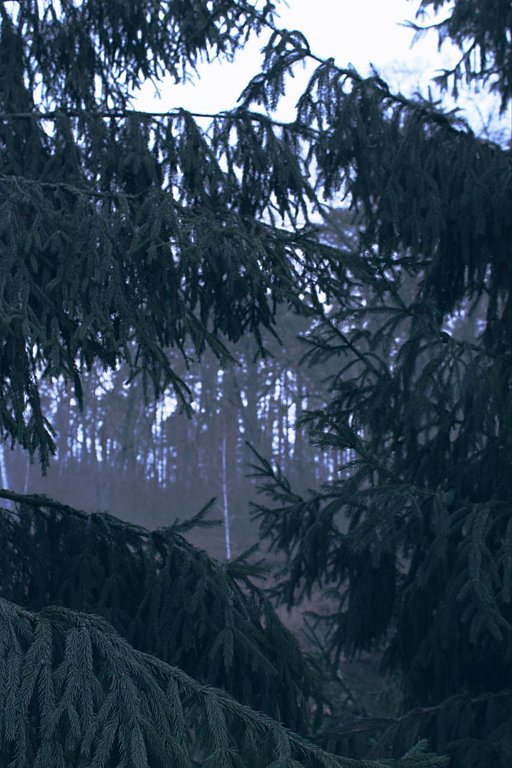 Фото из отзыва от 29.11.2025