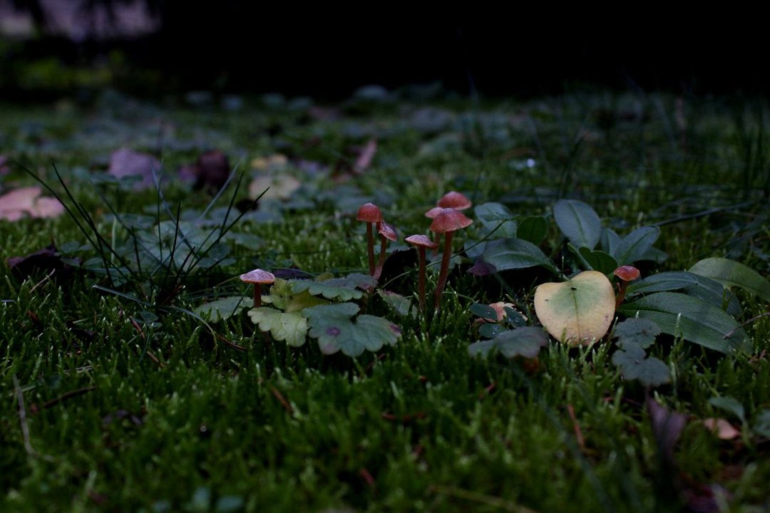 Фото 3 из отзыва о базе отдыха На Маклоке