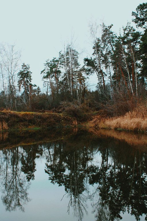 Фото из отзыва от 29.11.2025