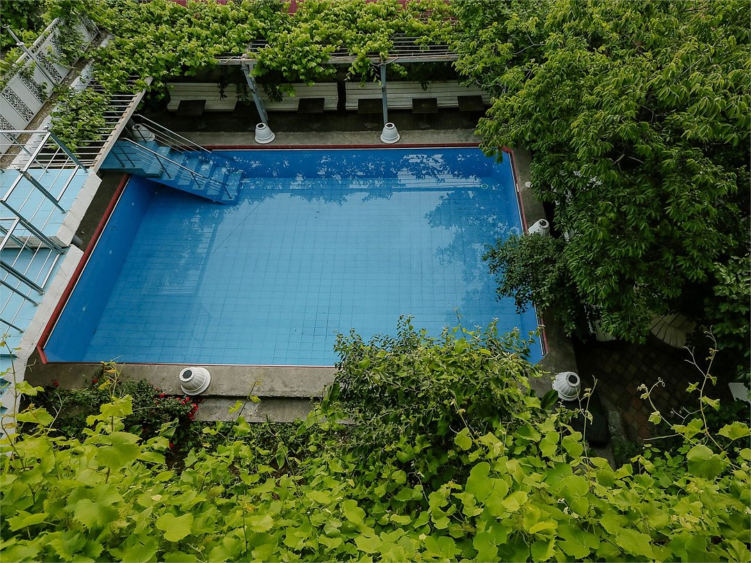 Green oasis Vavilon, Краснодарский край: фото 2