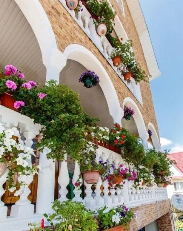 Дом Цветов, Краснодарский край: фото 5