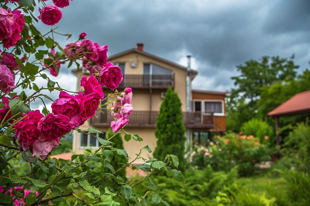 Усадьба Кутлер, Крым: фото 2