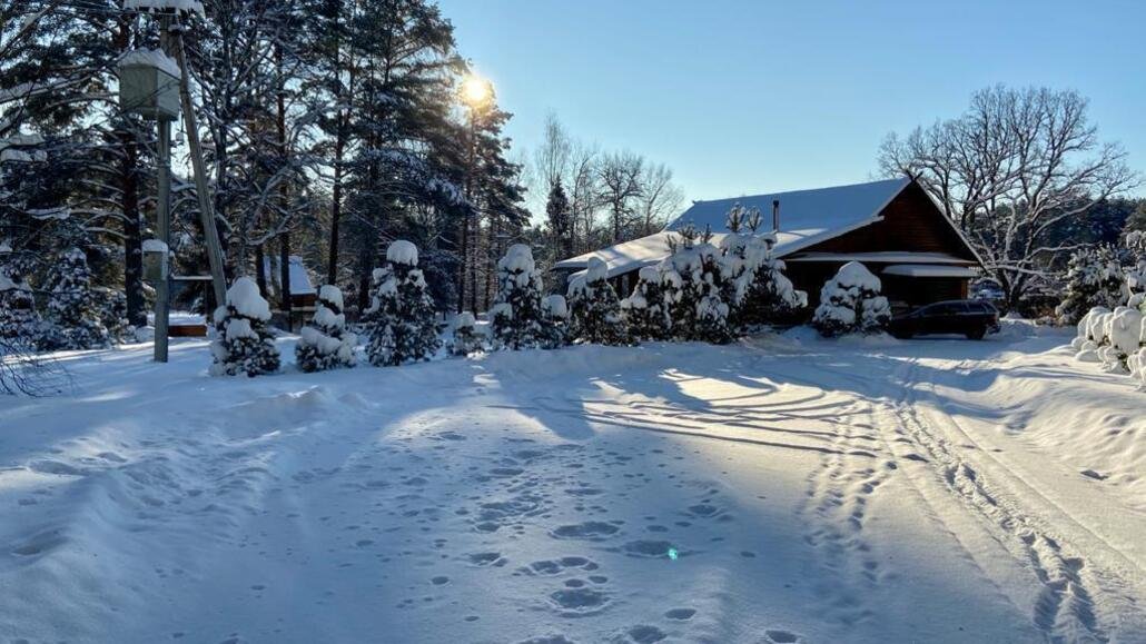 Кордон, Ярославская область: фото 3