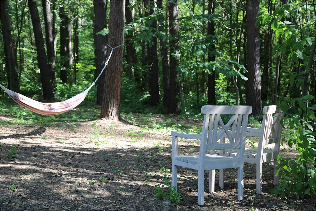 Скрытово.Дачи, Тульская область: фото 4