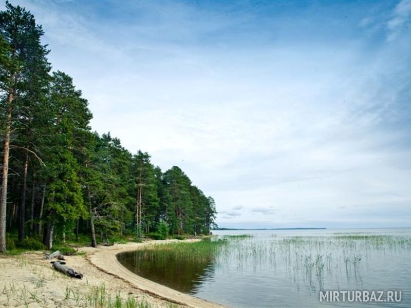 Большая медведица медвежьегорск фото