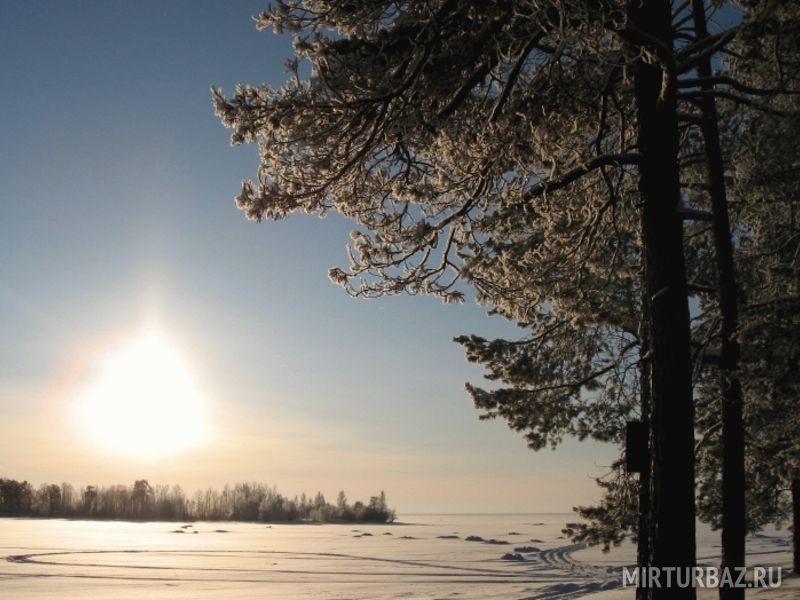 Большая медведица медвежьегорск фото