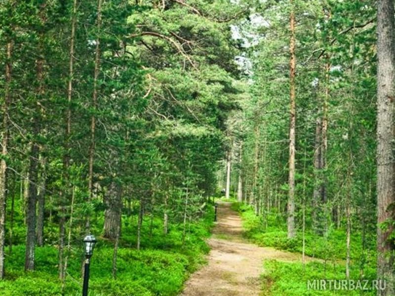 Большая медведица медвежьегорск фото