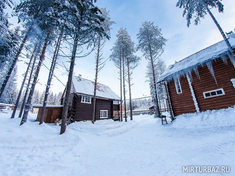 Фото лесная сказка хутор ленина