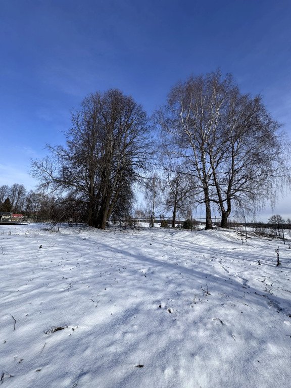Частный дом OsinovkiHouse, Тверская область: фото 5