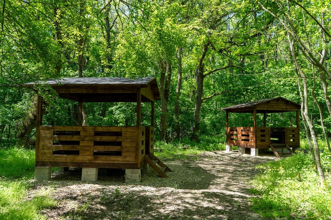 Balance, Республика Адыгея: фото 3