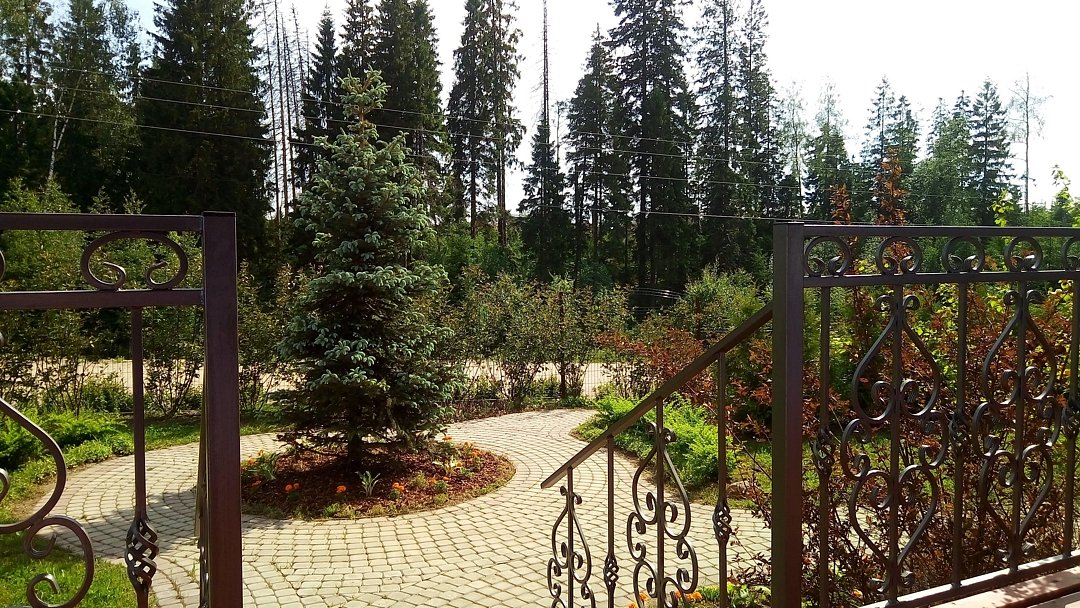 Дом с бассейном Дивное самоцветье, Ленинградская область: фото 4