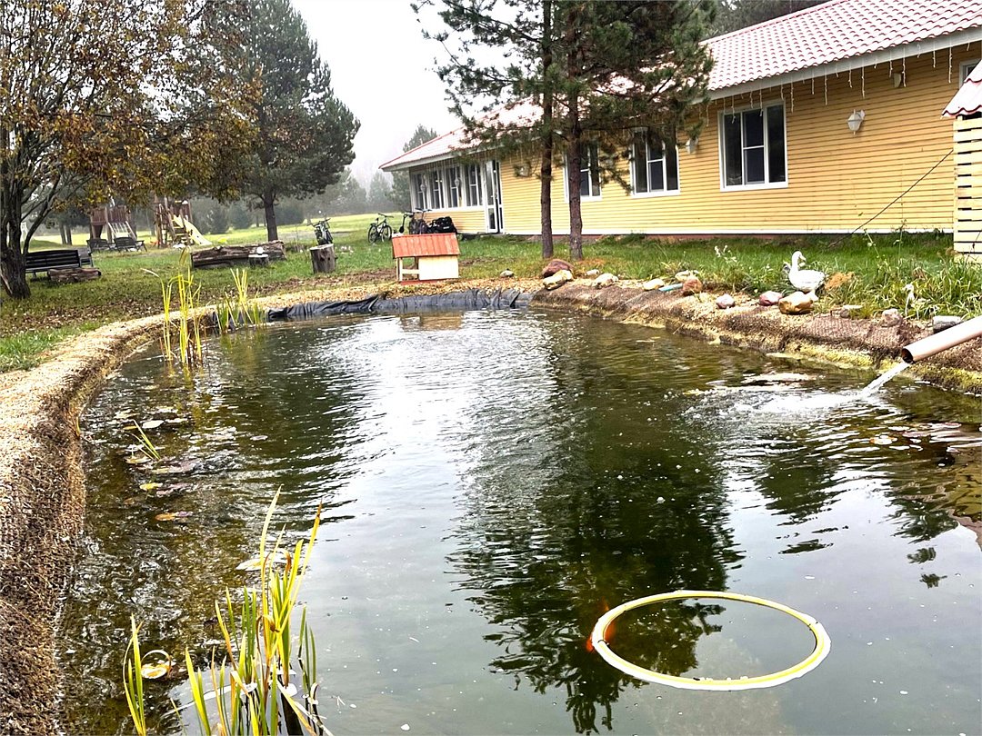 Деревенька в лесу, Московская область: фото 2