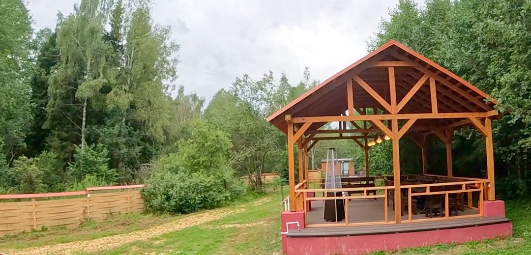 Деревенька в лесу, Московская область: фото 4