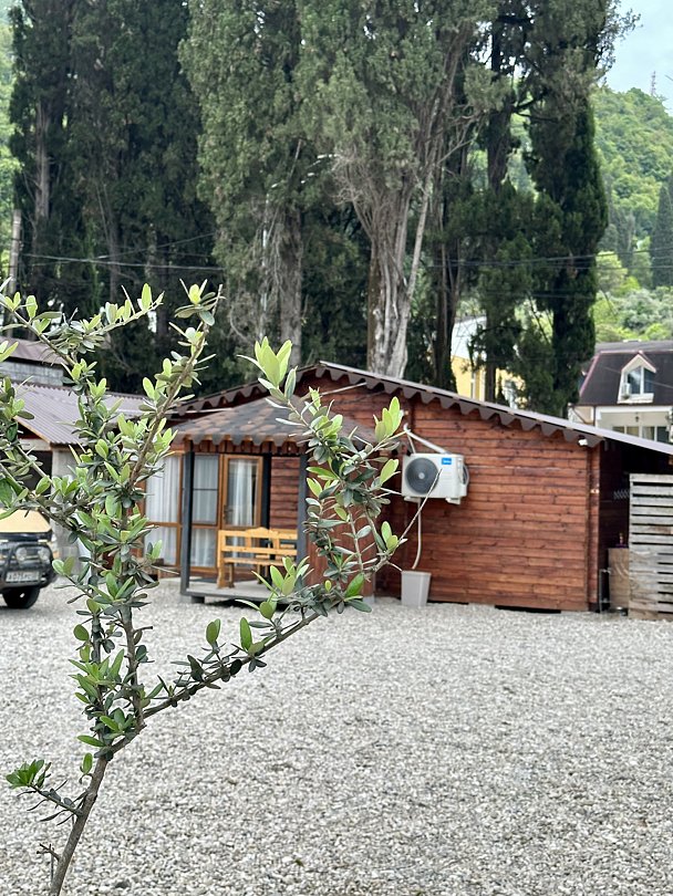 База отдыха Царское село Анхуа, Гудаутский район, Новый Афон , Абхазия