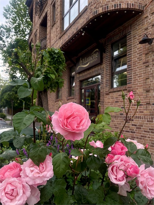 ЛаМанш, Краснодарский край: фото 3