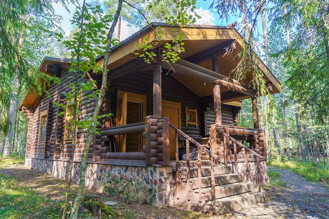 Шишки на Лампушке, Ленинградская область: фото 2