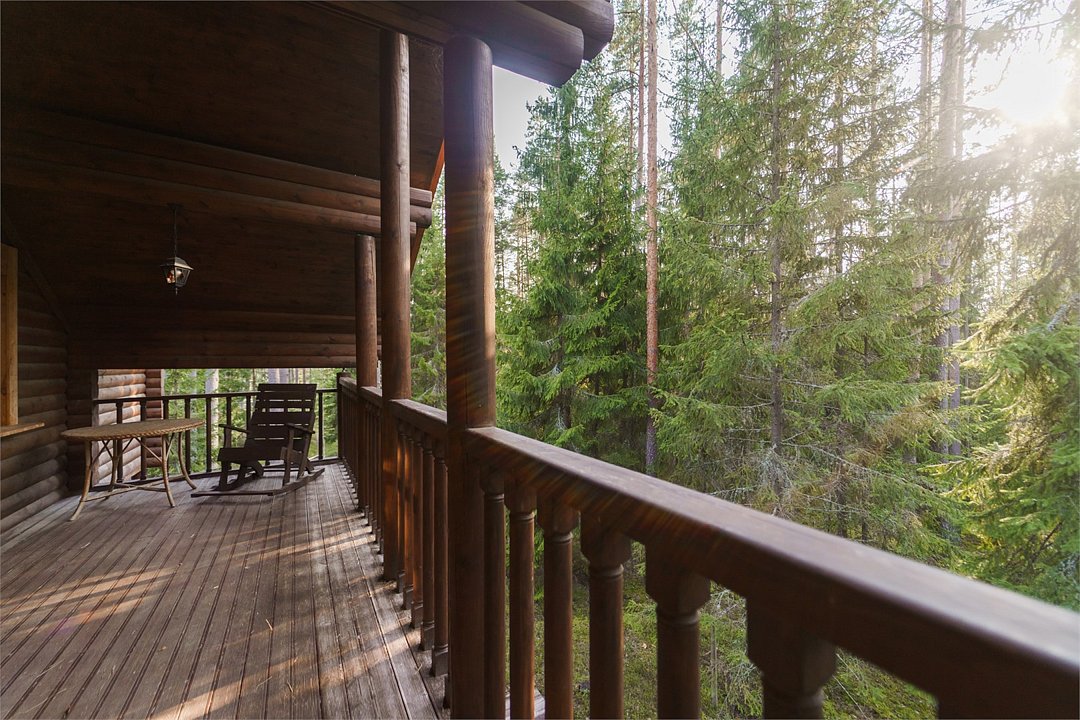 Шишки на Лампушке, Ленинградская область: фото 5