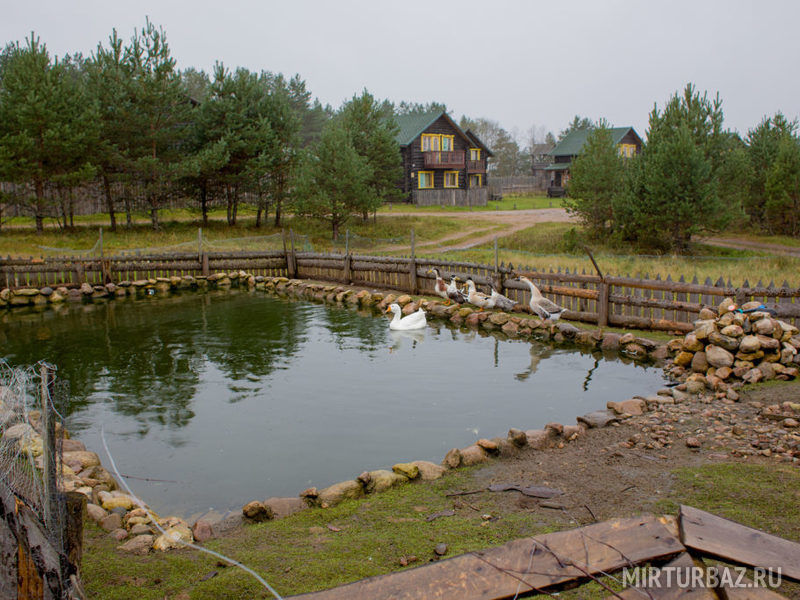 Киногородок горки ленинские фото