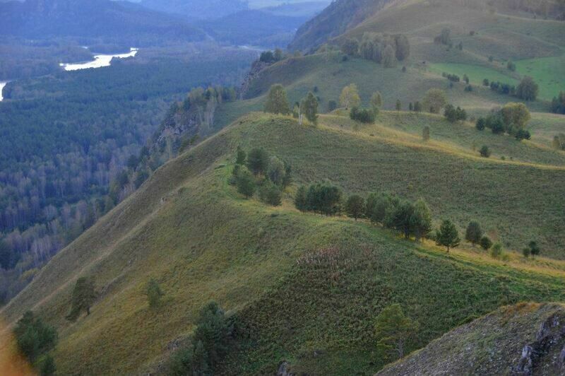 Родино алтайский край фото