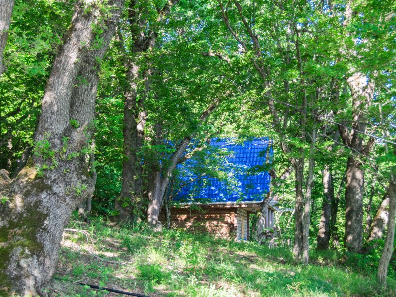 Парк Инал, Краснодарский край: фото 3