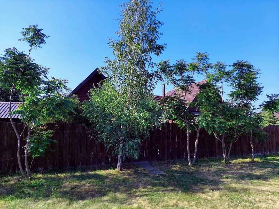 У Реки, Ростовская область: фото 2