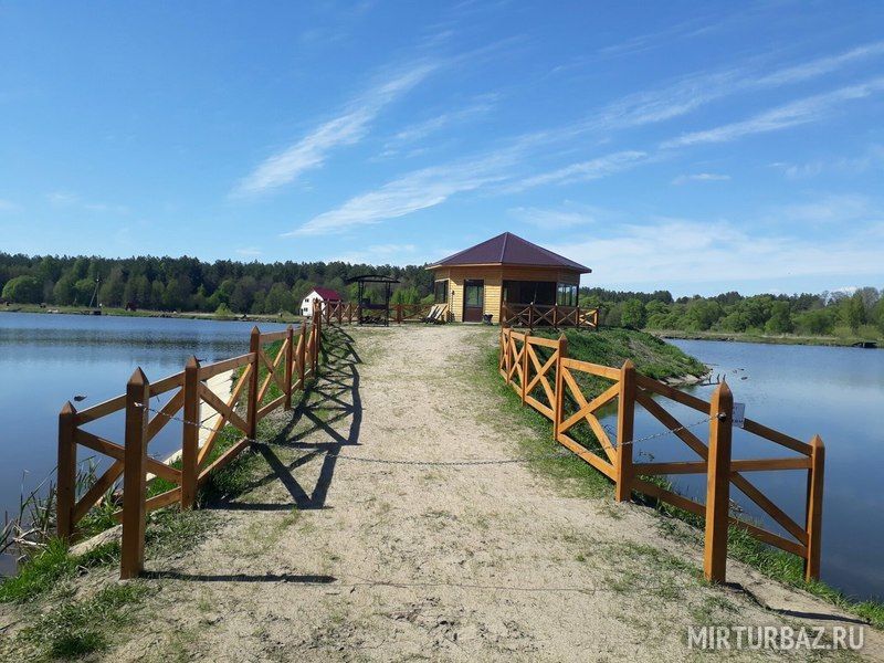 Лесное озеро, Брянская область: фото 2