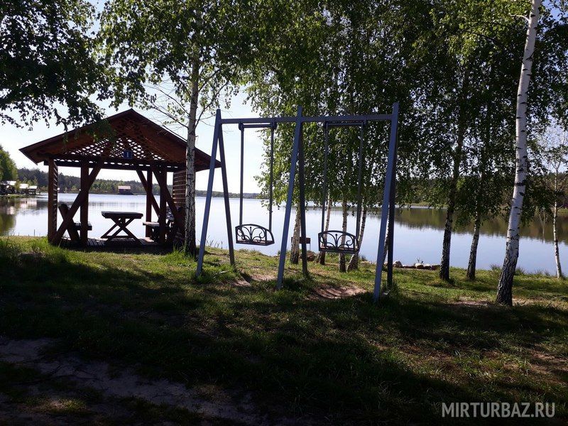 Лесное озеро, Брянская область: фото 3