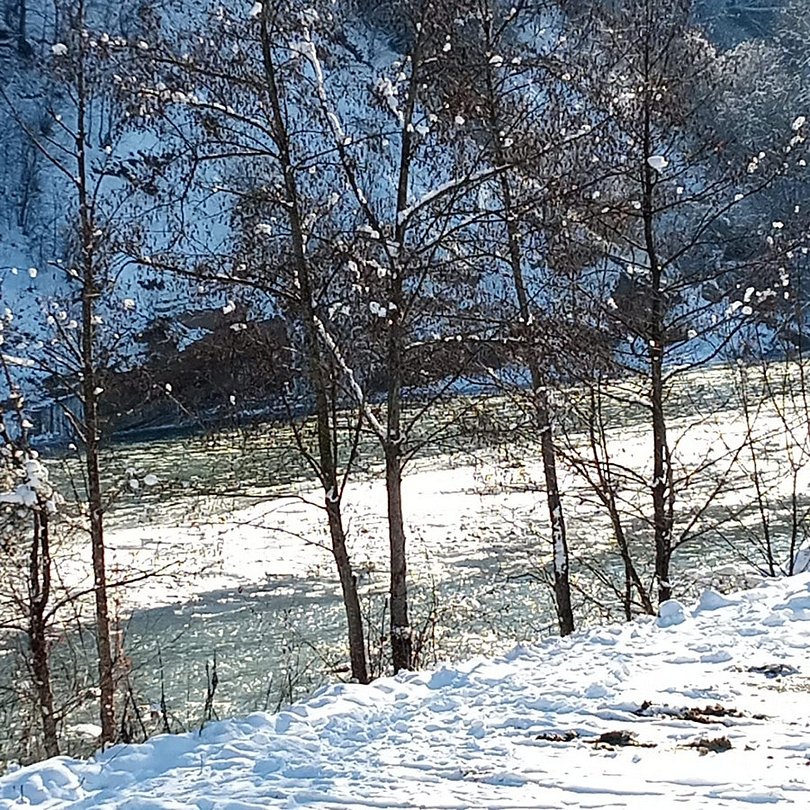 Отдых у реки, Республика Адыгея: фото 5