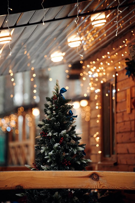 Сны Леса , Тюменская область: фото 3