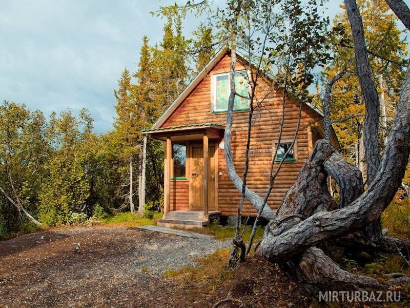 Лесная сказка, Ненецкий автономный округ: фото 2