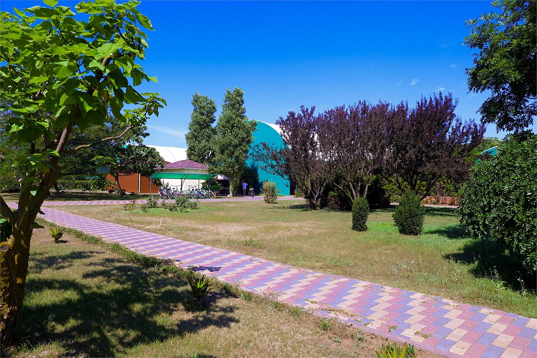 Солнечный берег, Крым: фото 4