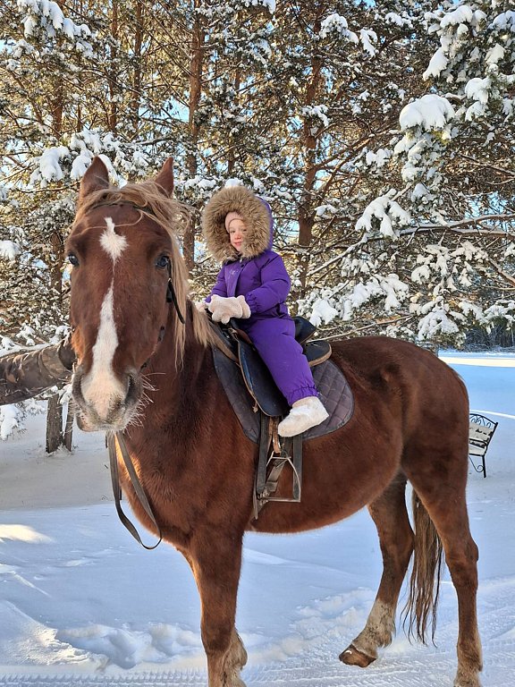 Фото из отзыва от 08.12.2025