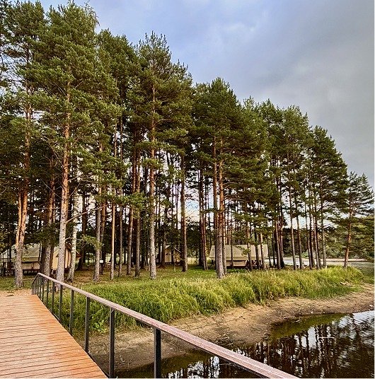 Берег Мологи, Тверская область: фото 4