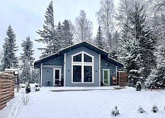 Гостевые дома Skandy Village