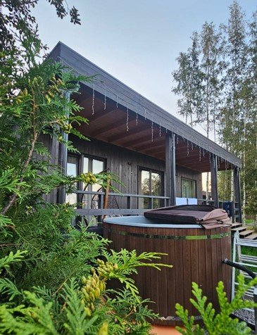 Кедр Фурако