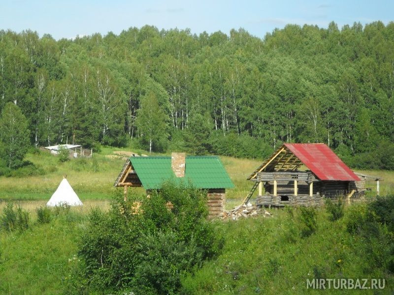 Белая береза, Кемеровская область: фото 2