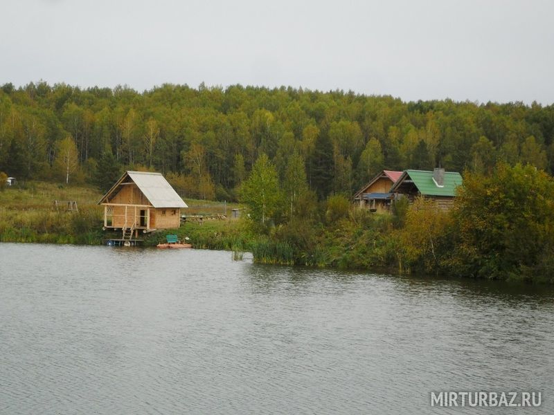 Белая береза, Кемеровская область: фото 3