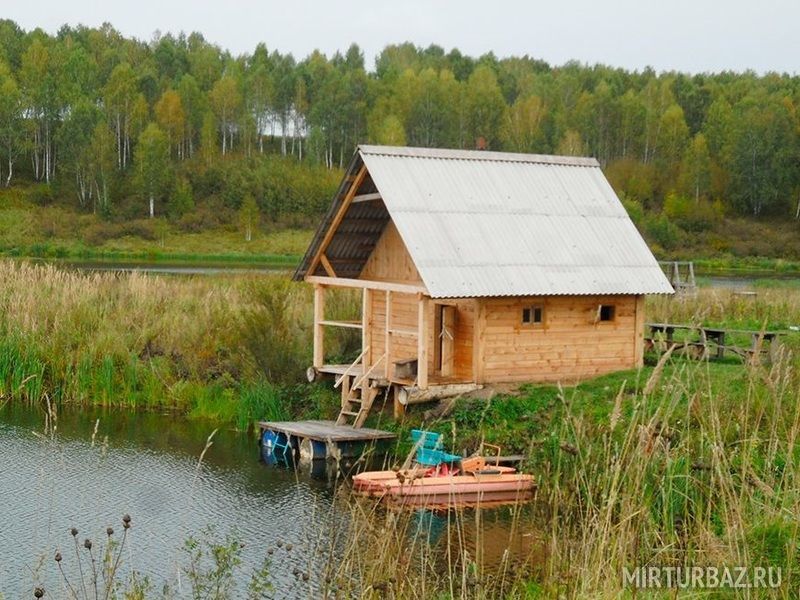 Белая береза, Кемеровская область: фото 4